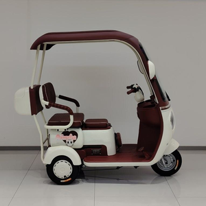 Tricycle couvert de haute qualité pour adultes, scooter à 3 roues avec toit et pare-brise, style rétro vintage MiYue, Miyue MiY - Product Image 1