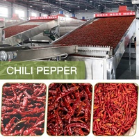 Hoge Efficiëntie Rode Chili Peper Droogapparatuur Continue Riem Chili Mesh Band Droger Machine Voor Fruit En Groenten
