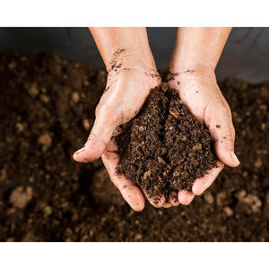 Amélioration du sol écologique haute performance Tourbe pour mélanges de potage Germination des graines Santé durable du sol - Product Image 3