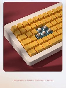Interrupteur mécanique Kailh à sensation <span class=keywords><strong>tactile</strong></span> avancée style <span class=keywords><strong>HP</strong></span>, étanche IP56, 5 broches, pour claviers de jeu personnalisés - Product Image 6