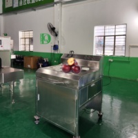 Dq Guangzhou Daqiao Industriële Commerciële Fruit Snijmachine Kern Motor Component Voor Vers Fruit Verwerking Productielijn