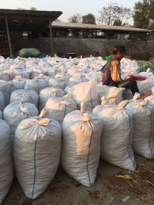 Cúrcuma Seca de Alta Calidad a Precio Accesible 2021 - Product Image 5