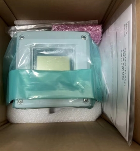 Analizador de 2 Hilos Original FLXA202-D-C-D-AB-P1-P1-A-N-LA-N-NN/U/CD4, Convertidor de Conductividad - Product Image 4