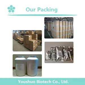 Youshuo Plant Extract 100% Natural Korean Red Panax Ginseng Extract Powder Red Ginseng Extract Powder