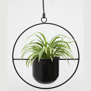 Jardinière suspendue en fer enduit de poudre noire intérieur extérieur résistant à la rouille jardinières de plafond décoratives conteneurs Pots utilisation de jardin - Product Image 1