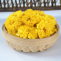 Krisan Tao Kering Pilihan Premium, Krisan Kuning Bulat Alami untuk Bahan Baku Teh Bunga & Minuman