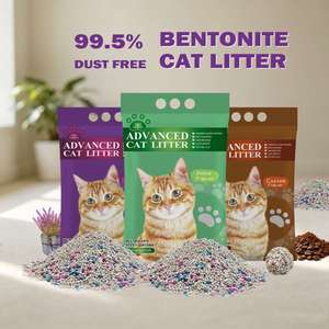 Arena para Gatos de Bentonita Personalizada OEM, Precio al por Mayor, Bolsa de 8kg y 10kg, Arena para Mascotas de Alta Calidad, Marca Privada de Fábrica - Product Image 1