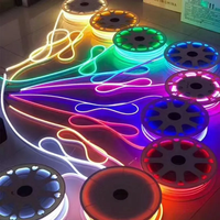 Bande lumineuse LED néon en cuivre étanche IP67 12V/24V de haute qualité, 120 LED/m, couleurs personnalisables (Bleu/Glace), contrôle par application/tactile pour aménagement paysager