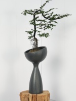 Kreativer Magnesium-Ton Meerjungfrauen-Blumentopf mit hoher Taille, großer Blumentopf für den Innenbereich, Wohnzimmer, Balkon, zum Hängen von Jasmin