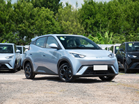 Vente chaude BYD Seagull Electric EV voiture nouvelle énergie véhicule petit SUV 305 Km longue portée voiture de vente chaude