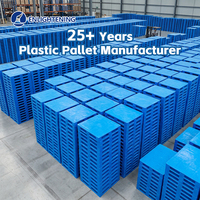 Palette en plastique industrielle robuste HDPE 1200x1000, empilable 4 directions, antidérapante, pour entrepôt pharmaceutique