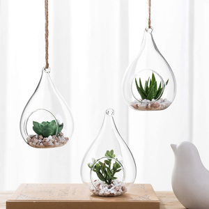 Vaso Terrario in <span class=keywords><strong>Vetro</strong></span> <span class=keywords><strong>per</strong></span> Piante Grasse e Aeree, Vaso a Goccia Soffiato a Mano da Parete, Ecologico, <span class=keywords><strong>per</strong></span> Feste, Ingrosso Jiangsu - Product Image 1