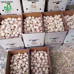 Compre Ajo Rojo a Precio de Mayoreo <span class=keywords><strong>en</strong></span> el Mercado / Contenedor de 20 pies - Product Image 5