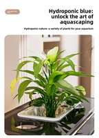 Aquarium rectangulaire de luxe moderne en plastique transparent haute définition pour poissons rouges, idéal pour la maison, le bureau, la cuisine ou comme décoration de bureau.