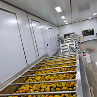 Fabrieksaanbieding Automatische Plc Controle Mango Pulp Verwerkingsmachine Sap Drank Productielijn