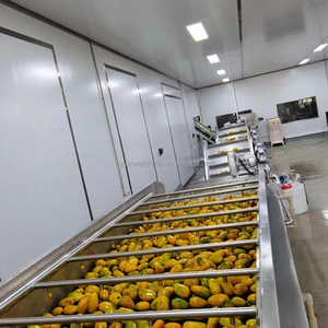 Fabrieksaanbieding Automatische Plc Controle Mango Pulp Verwerkingsmachine Sap Drank Productielijn - Product Image 1