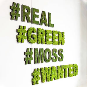 Letras de musgo de 15 o 30 cm de alto para decoración de pared Imagen de musgo Decoración de pared - Product Image 4