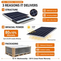 Module Solaire Bifacial 600W Type N, Efficacité 23,23%, Cellules 182mmx182mm, Résistant à la Brume Salée, pour Réseaux Insulaires et Micro-réseaux