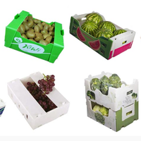 PP Corflute Boîte de transport d'expédition de légumes ondulés creux Boîte d'emballage en plastique agricole