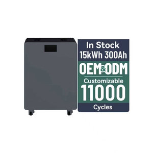 แบตเตอรี่ลิเธียมไอออนสำหรับเก็บพลังงานในครัวเรือน ระดับ 51.2V 314Ah 15kwh ชุดแบตเตอรี่พลังงานแสงอาทิตย์ 15kwh กล่องแบตเตอรี่สำหรับระบบพลังงานแสงอาทิตย์ - Product Image 6