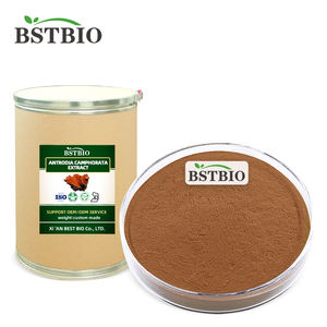 BSTBIO Taiwanofungus Camphoratus полисахариды 30% 40% порошок экстракта грибов - Product Image 3