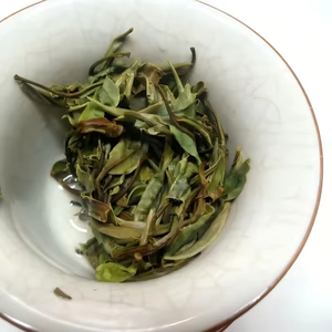 Thé Blanc Fuding Pivoine Blanche Vieilli de Haute Qualité 2025, 250g, Arôme Floral Frais, Doux et Onctueux, Thé Blanc Sain, Vente en Gros - Product Image 3