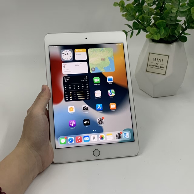 Wholesale High-quality Second-hand for Mini 4 7.9" Retina Display IOS 15.0 2+32GB WiFi-only for A8 Processor Lightning