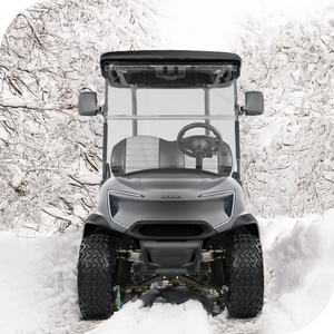 4500W CE approuvé pas cher prix couleur personnalisable 4 places voiturette de golf électrique - Product Image 1