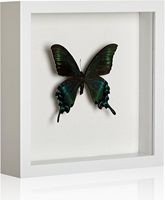 5x 5/8x 8/10x1 0/12x12 kare gölge kutusu resim çerçevesi ile HD pleksiglas için çiçek, bilet, hatıra, hatıra, madalya, sanat