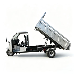<span class=keywords><strong>Triciclo</strong></span> Motorizado Runhorse de Gasolina, <span class=keywords><strong>1000CC</strong></span>, Cuatro Cilindros, con Caja de Carga Trasera para Entrega de Mercancías y Transporte Rural - Product Image 5