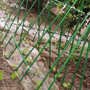 <span class=keywords><strong>Piquets</strong></span> <span class=keywords><strong>de</strong></span> jardin en plastique <span class=keywords><strong>de</strong></span> haute qualité pour plantes grimpantes (<span class=keywords><strong>tomates</strong></span>, concombres) - Product Image 6