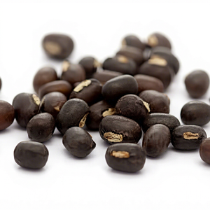 Haricots noirs indiens frais (Urad Dal) de qualité supérieure, marque FitTree International, origine Gujarat, durée de conservation de 24 mois - Product Image 1