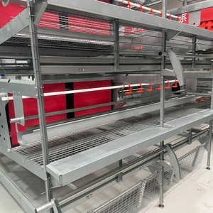 Aviary System Hen Laying Layer Breeder Chicken Free Range Farm Equipment Aviary System Cage Free System