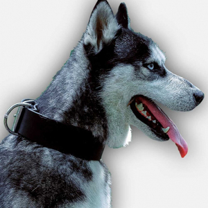 Custom Heavy Duty 2 <strong>Inch</strong> Tactical <strong>Dog</strong> <strong>Collar</strong> Waterproof Nylon with Solid Pattern Premium Leather <strong>Dog</strong> <strong>Collar</strong> - Product Image 2