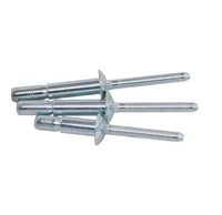 Rivets aveugles ouverts en acier inoxydable DIN7337 1/8 3/16 1/4 pouce Finition brillante