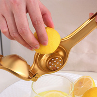 Goedkope keukenaccessoires titanium plating handmatige fruitpers roestvrijstalen citroenpers