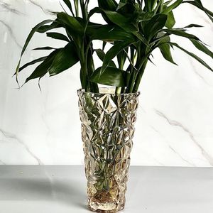 Conteneur à fleurs design moderne pour la décoration intérieure Vase <span class=keywords><strong>en</strong></span> <span class=keywords><strong>verre</strong></span> nervuré transparent <span class=keywords><strong>en</strong></span> cristal de luxe avec lumière nordique - Product Image 5
