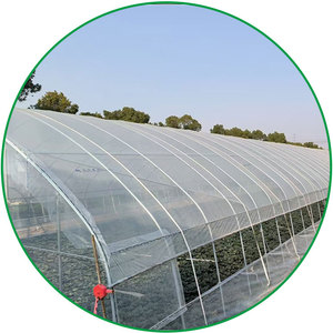 Film de serre en PE micro 200 à protection UV à <span class=keywords><strong>prix</strong></span> abordable – Vente de film plastique pour serre - Product Image 1