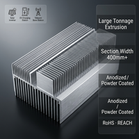Profil de dissipateur thermique en aluminium extrudé Liangyin 6061 usiné CNC avec design à ailettes rainurées pour le refroidissement des serveurs et des centres de données