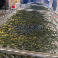 Oven Pengering Hemat Energi dengan Pompa Panas untuk Pengeringan Kacang Hijau, Peralatan Dehidrator Kacang Hijau