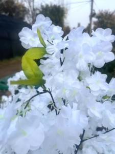 <span class=keywords><strong>Arbre</strong></span> de fleurs de cerisier artificiel décoration de mariage en plein air décoration d'hôtel peut être personnalisé blanc cerisier artificiel - Product Image 2