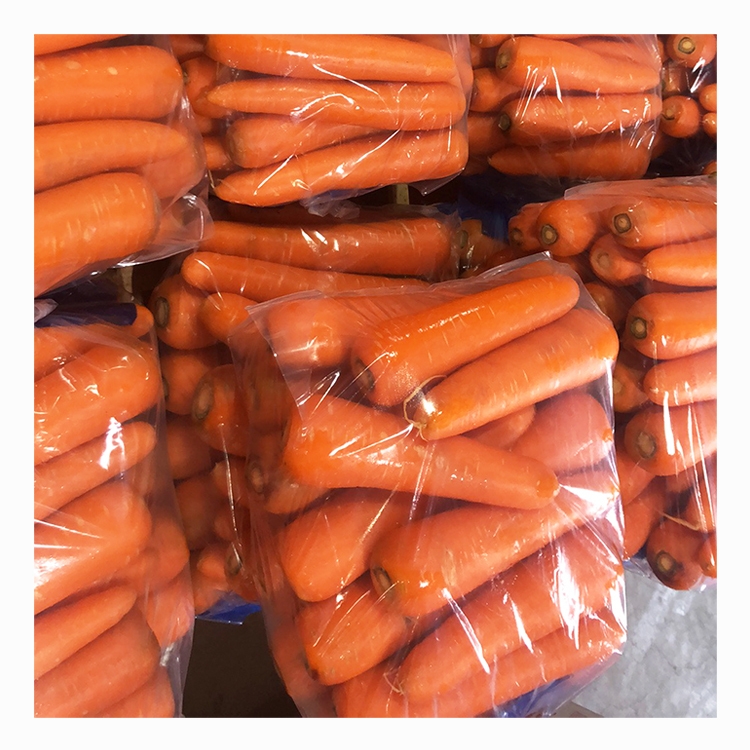 Good Price Garlic ginger onion carrot