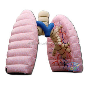 Modè<span class=keywords><strong>le</strong></span> gonflable <span class=keywords><strong>de</strong></span> ballon <span class=keywords><strong>de</strong></span> <span class=keywords><strong>coeur</strong></span> d'éducation <span class=keywords><strong>de</strong></span> grands enfants, ballon extérieur <span class=keywords><strong>de</strong></span> <span class=keywords><strong>coeur</strong></span> d'explosion pour l'affichage - Product Image 2