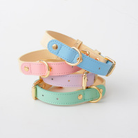 Ensemble collier et laisse pour chien en tissu Cortex, style Instagram, color block, pour chiens de petite et moyenne taille, vente en gros, international