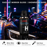 Revêtement Nano Céramique pour Voiture, Protection de Peinture en Verre à Haute Dureté, Concentré de Quartz Inorganique, Imperméable, Entretien Automobile