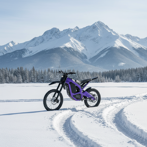 Motocicleta Eléctrica Económica de 96V y 6000W con Batería de Litio de 30Ah Extraíble, Motor Central, Operación Sencilla y Confiabilidad para Desplazamientos Diarios - Product Image 6