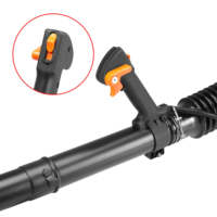 43cc fournisseur chinois moteur à essence sac à dos souffleur de feuilles de jardin puissant souffleur de feuilles 2000W