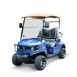 Preço de atacado Para 2 Pessoas Rápido 2 Assentos Carrinho De Golfe Elétrico Moderno Freios De Luxo Mini Bateria De Lítio 48 Vol Elektro Golf Cart