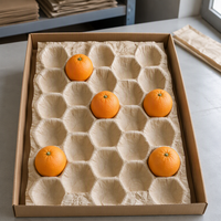 Papieren lade met zeer duurzame kraftpapierstructuur voor commerciële boomgaardoogst en bescherming bij het verzenden van vers fruit