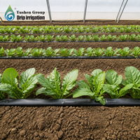 Tuyau d'irrigation goutte à goutte plat en plastique noir Yushen 16 mm, système de tuyauterie agricole économe en eau, tuyau de goutte-à-goutte basse pression